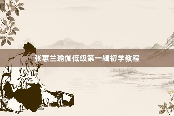 张蕙兰瑜伽低级第一辑初学教程